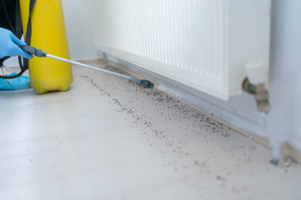 Best Pest Removal Services  in Edgemere, MD